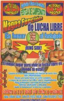 Funciones Privadas de Lucha Libre Profesional